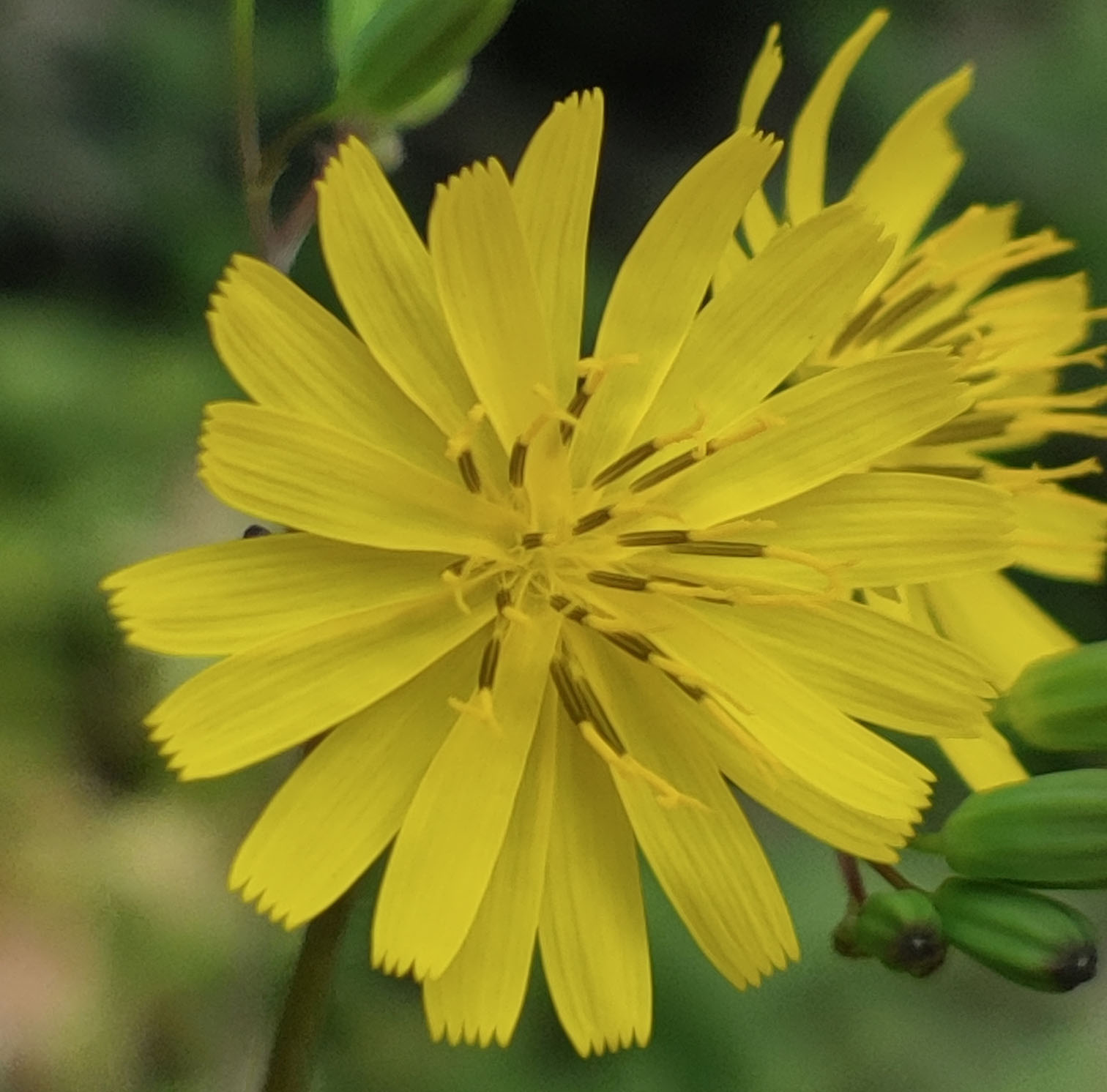 Bright lines on a dark background